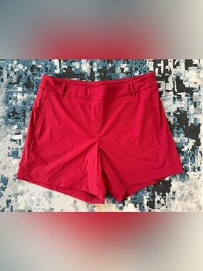 EUC Spanx Sunshine Solutions Shorts -132